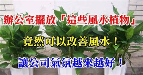 改善辦公室風水